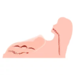 Kokos Hera 3 Masturbator 10 Kokos Hera 3 Masturbator -Aanbiedingen Masturbators Winkel kokos hera 3 masturbator 4