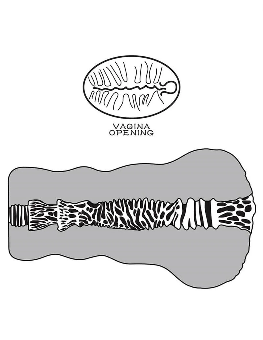 Lovetoy Alien’s Pie 2 Masturbator Nude 8 Lovetoy Alien’s Pie 2 Masturbator Nude - Afbeelding 8