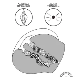 Lovetoy Streetgirls 12 Masturbator 13 Lovetoy Streetgirls 12 Masturbator -Aanbiedingen Masturbators Winkel lovetoy streetgirls 12 masturbator 5