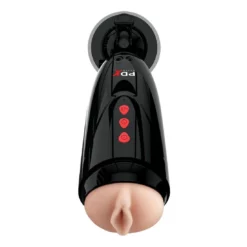 Pipedream Elite Dirty Talk Starter Stroker
